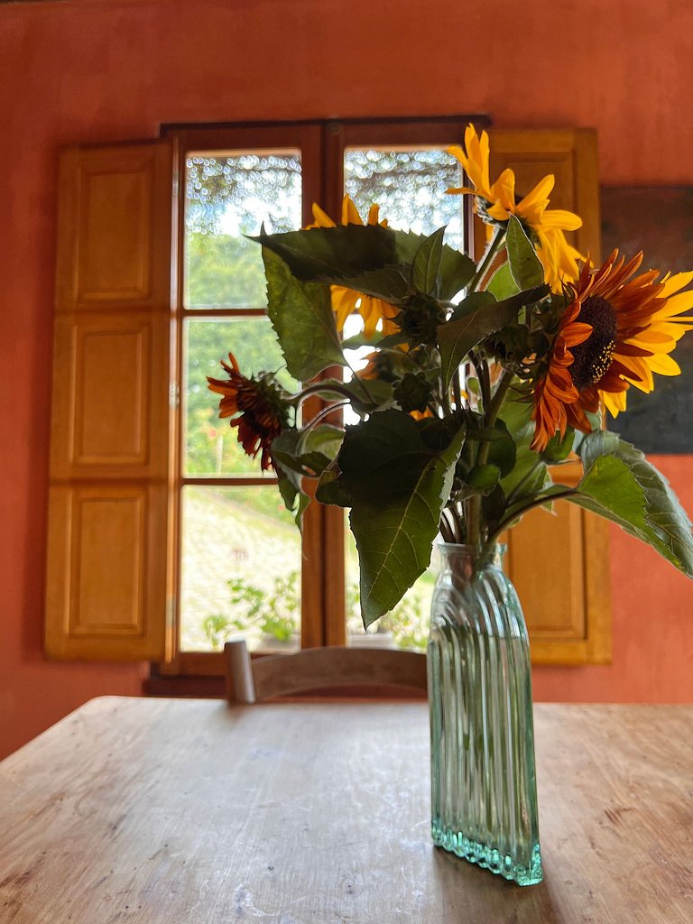 Casa das Ervilhas: Aconchego no Vale dos Vinhedos