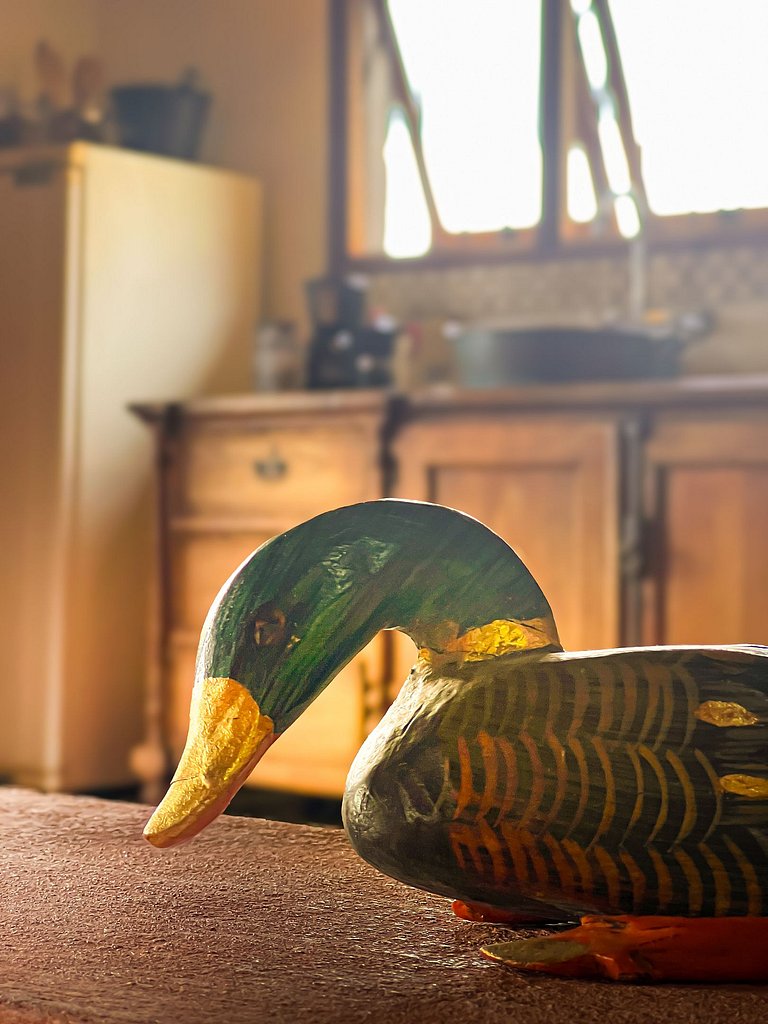 Casa Paterna Vista Única para o Vale dos Vinhedos