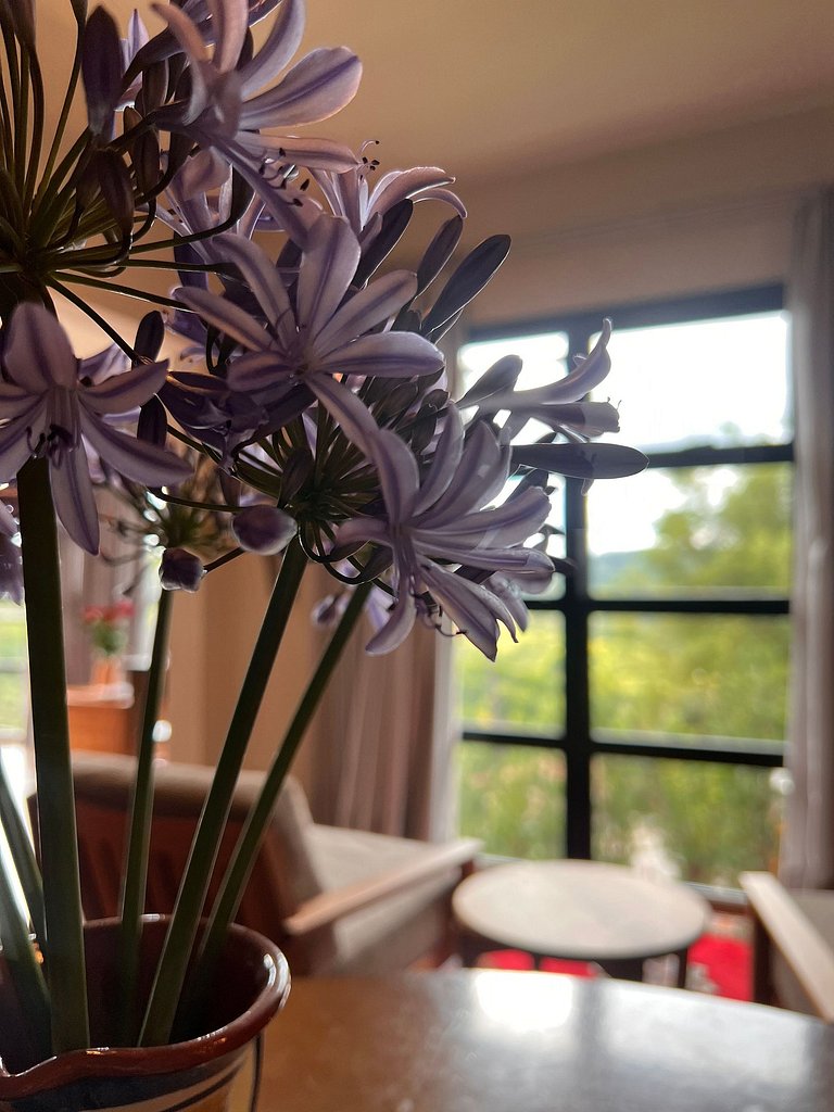 Casa Vinea Natureza e Paz no Vale dos Vinhedos