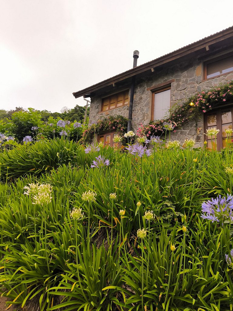 Casa Ervilhas com Vista Incrível no Vale