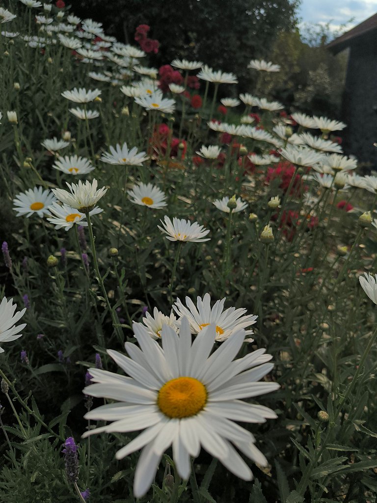 Casa Três Marias Vista Linda e Conforto no Vale