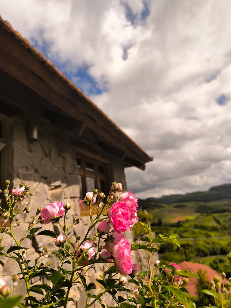 Casa Belvedere no Vale dos Vinhedos