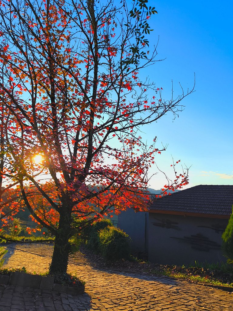 Casa Fronteiras com Vista Panorâmica no Vale