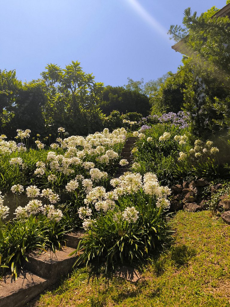 Casa Ervilhas com Vista Incrível no Vale